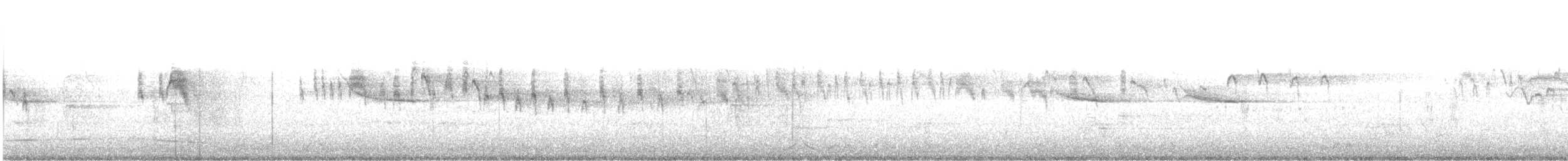 østkongetyrann - ML452465721