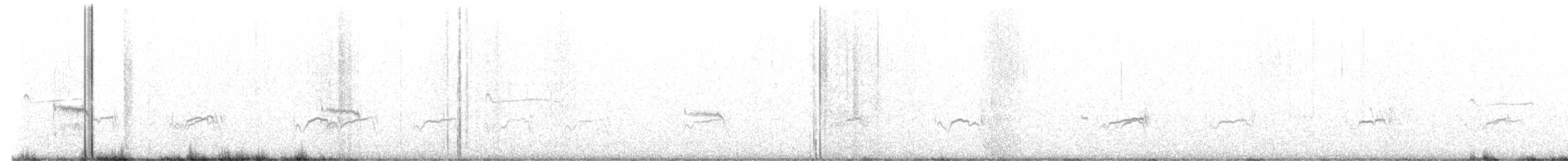pygmésnipe - ML452502081