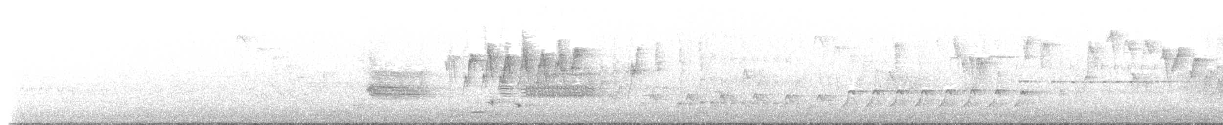 Wilson's Warbler - ML452522251