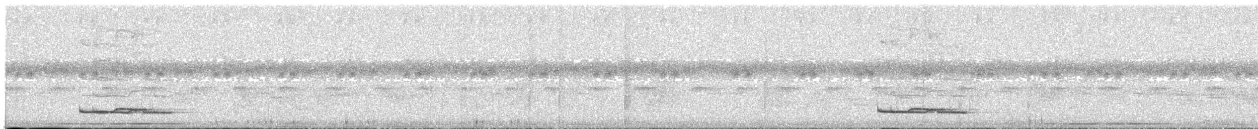 Langschwanzpipra - ML452557251