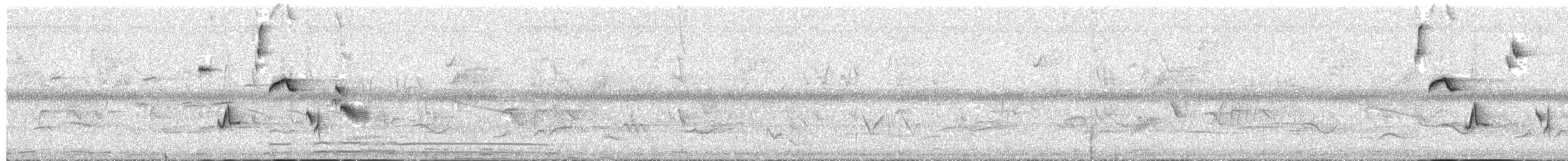 Orange-billed Nightingale-Thrush - ML452565181