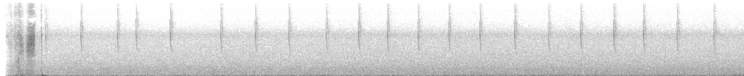 Широкохвостый колибри - ML452570141