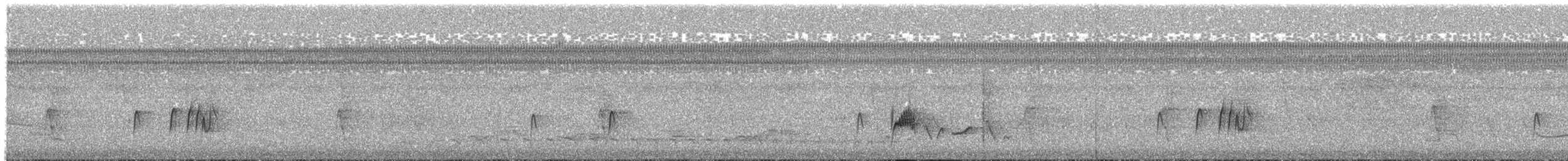 beltetyrann - ML452590261