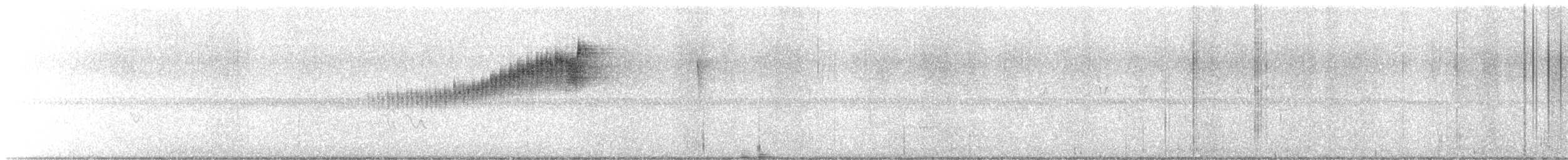 Northern Parula - ML452611131