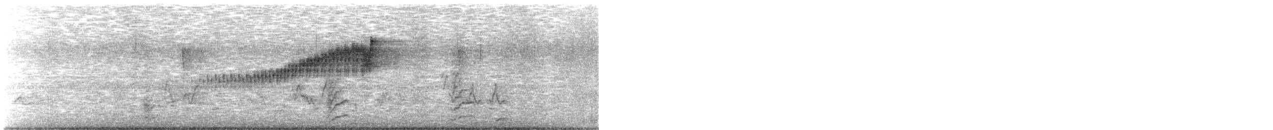 Northern Parula - ML452622791