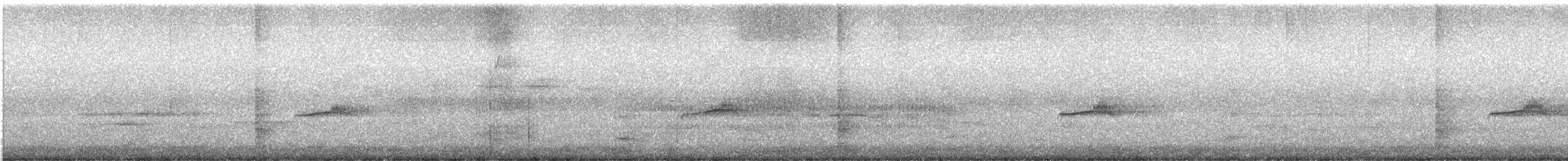 Western Wood-Pewee - ML452657191