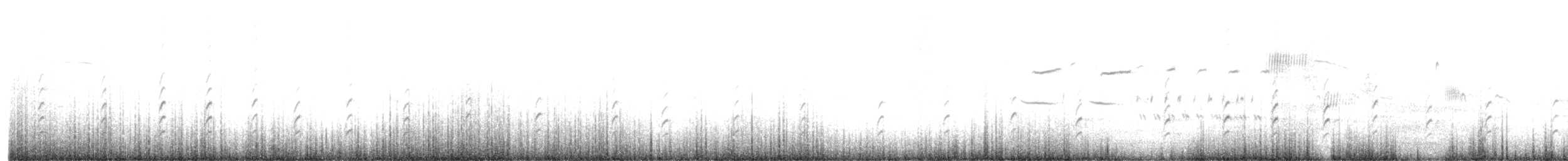 svartkronestylteløper - ML452718511