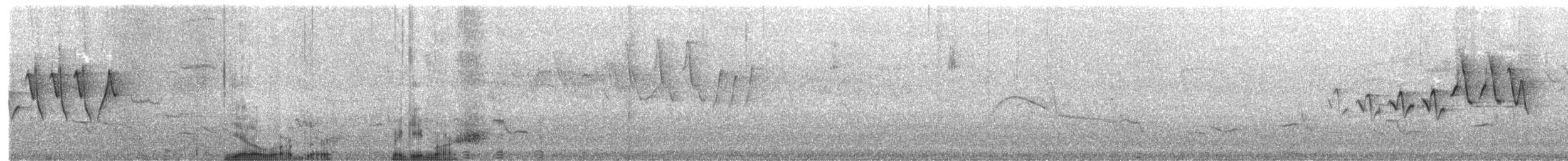 gulparula - ML452718561