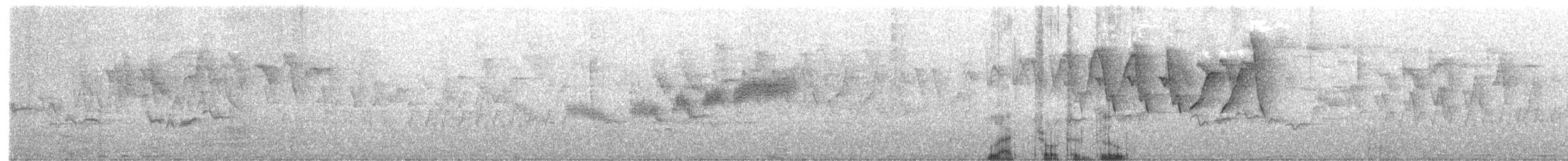 blåparula - ML452718571