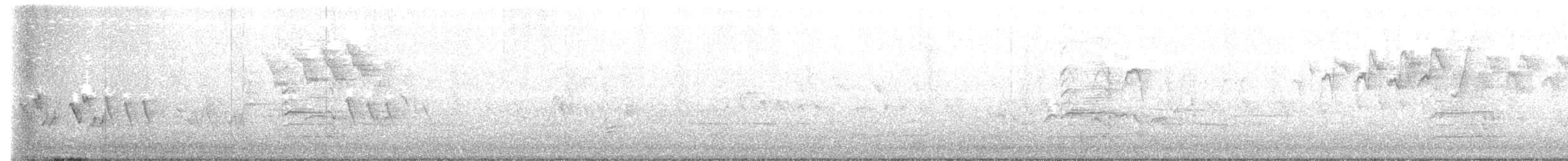 Черногорлая хвойница - ML452748441