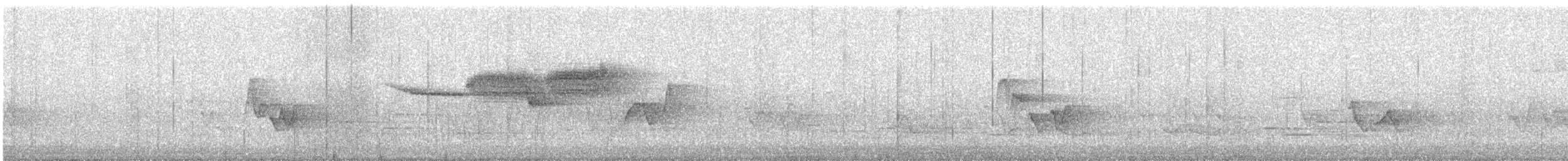 lesňáček modrohřbetý - ML452802471