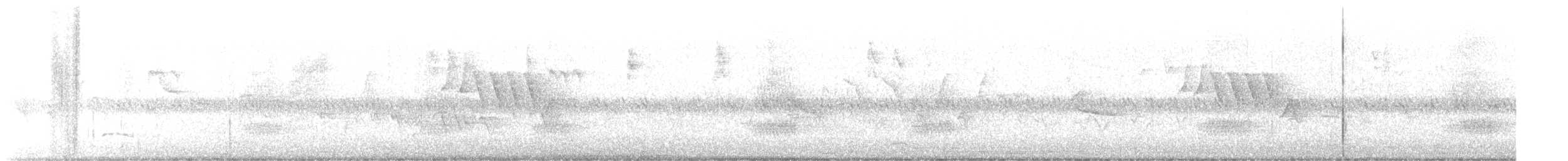 Пісняр-лісовик жовтогузий (підвид coronata) - ML452816731
