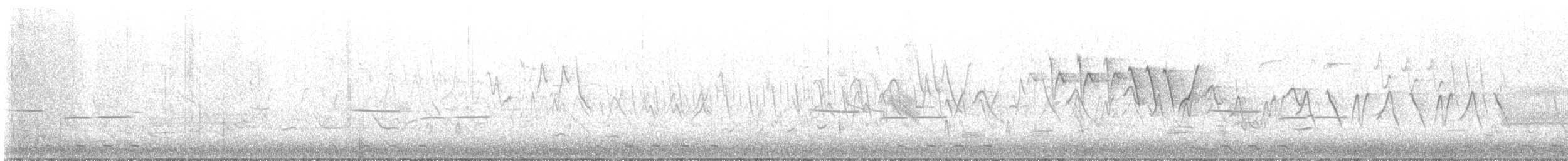 Black-billed Cuckoo - ML452830591