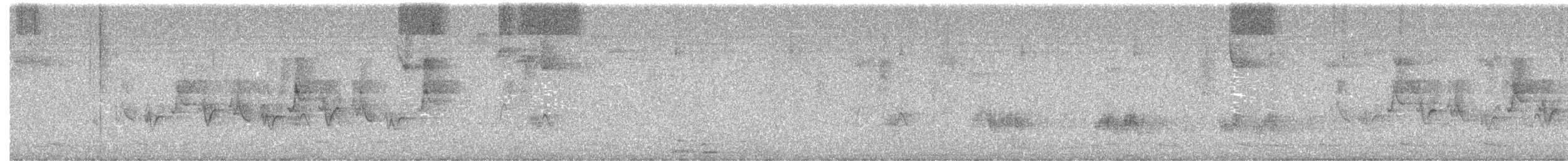 vireo sp. - ML452849311