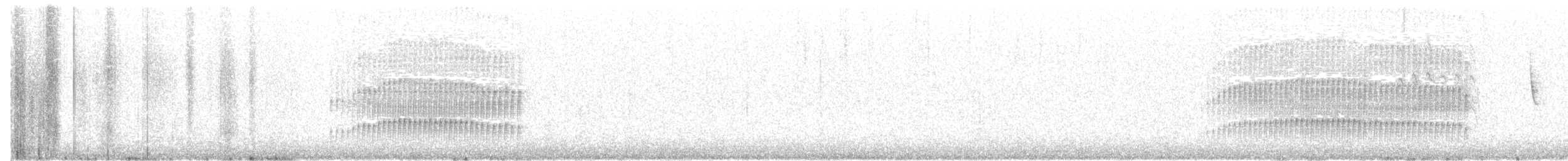 Des Murs's Wiretail - ML45287481