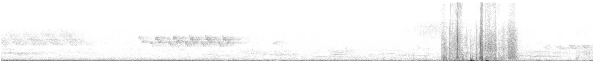 סבכון קנטקי - ML452920521