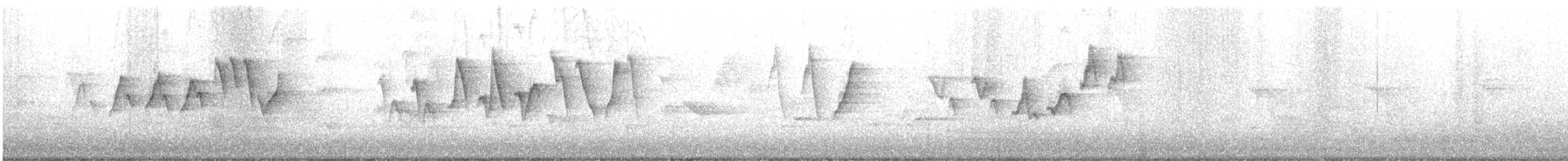 Yellow Warbler (Northern) - ML452952581