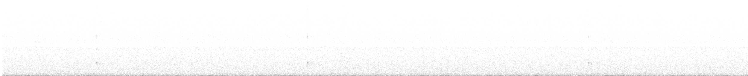 Northern Bentbill - ML452977571