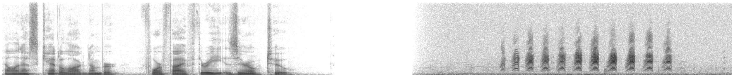 Zingira-hontza (flammeus) - ML45302