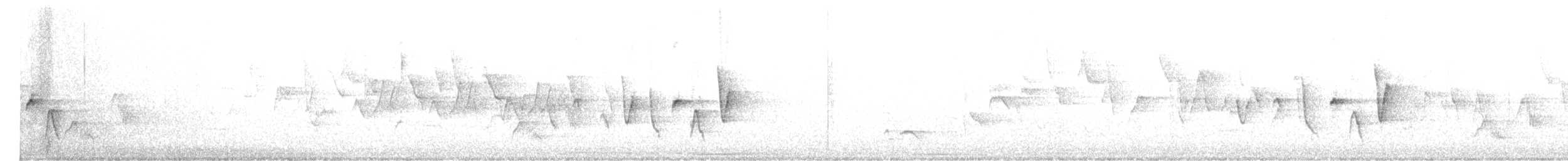 Connecticut Warbler - ML453027051