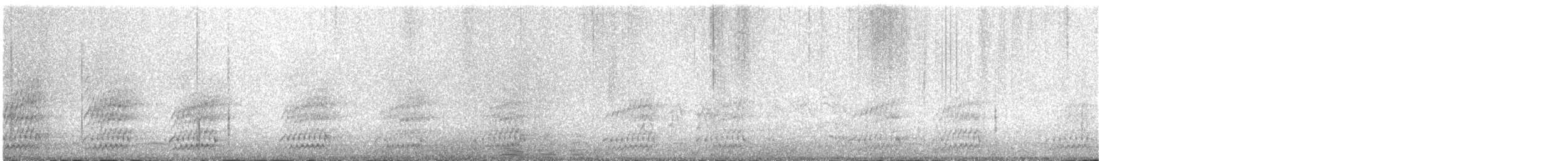 White-necked Crow - ML453047521