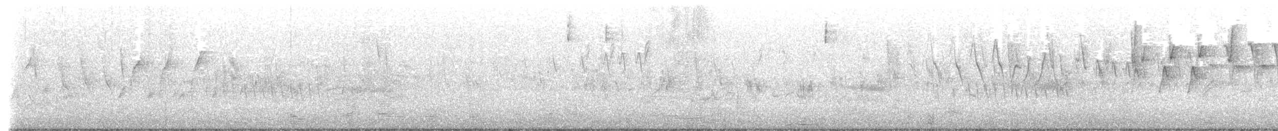 Prothonotary Warbler - ML453077161