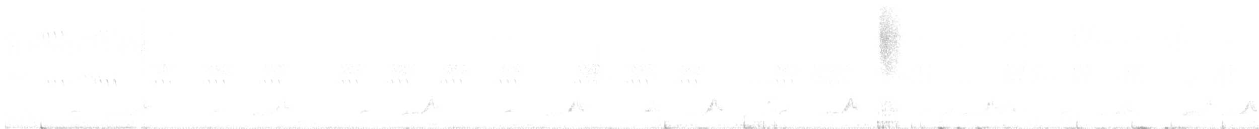 Schwarzkehl-Nachtschwalbe - ML453082031