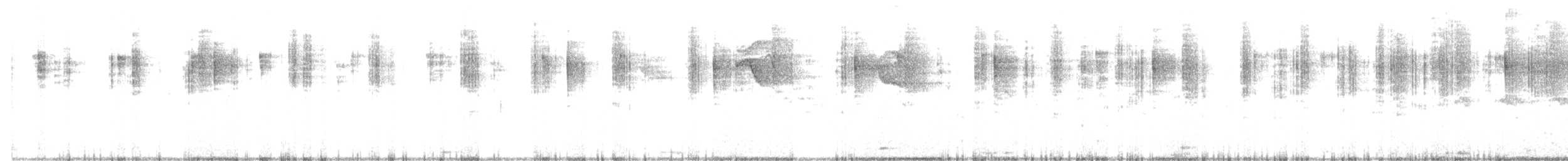 White-bellied Hummingbird - ML453175621