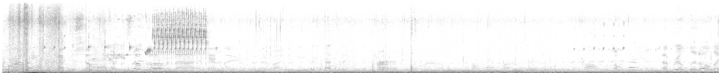 Marsh Wren (griseus) - ML453182181
