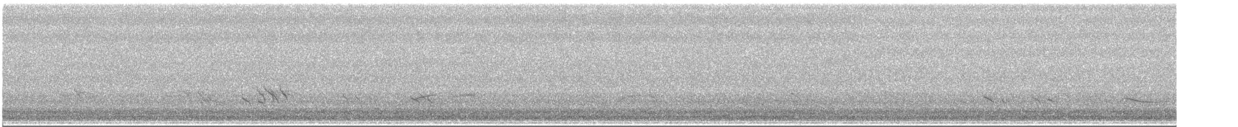 Короткоклювый бекасовидный веретенник - ML453221231