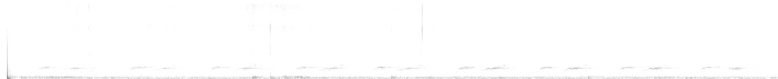 Schwarzkehl-Nachtschwalbe - ML453273041