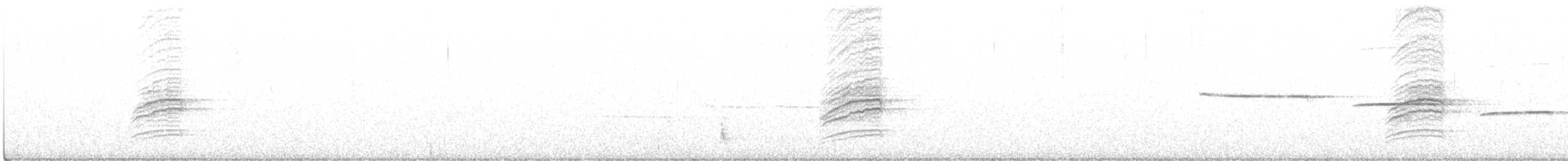 Münzevi Bülbül Ardıcı - ML453277591