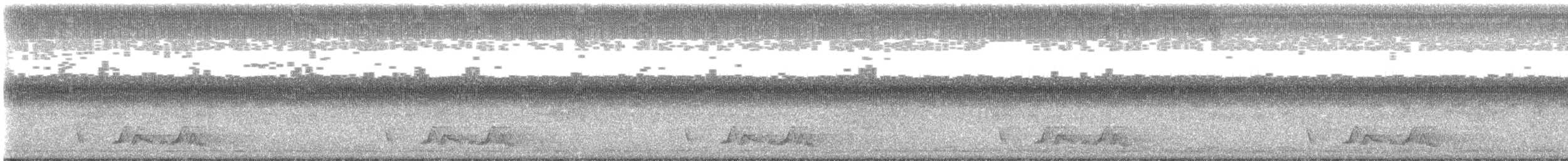 Chuck-will's-widow - ML453300531