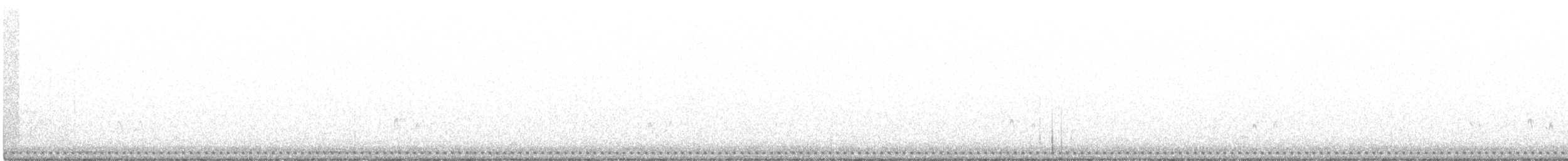 Texasnachtschwalbe - ML453302851