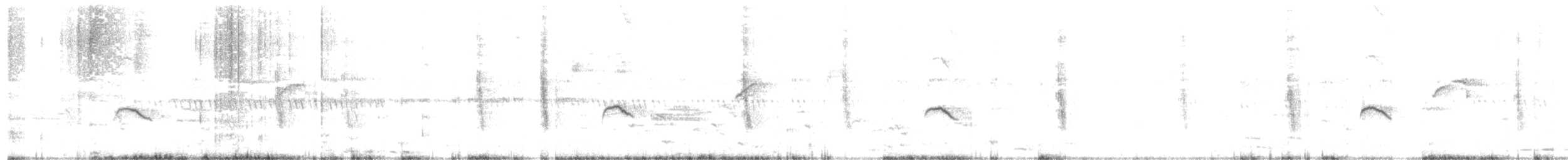 Pied Bushchat - ML453322921