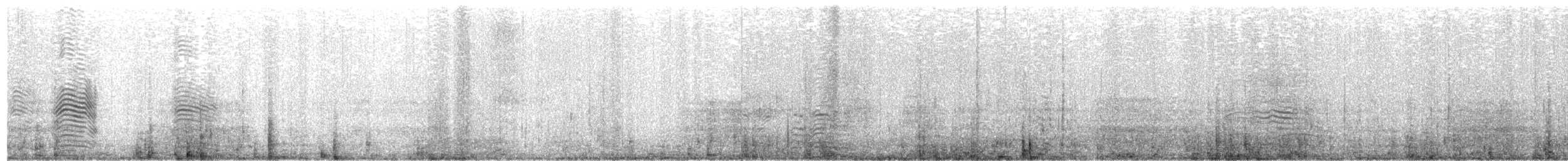 Буревісник cередземноморський (підвид borealis) - ML453367901