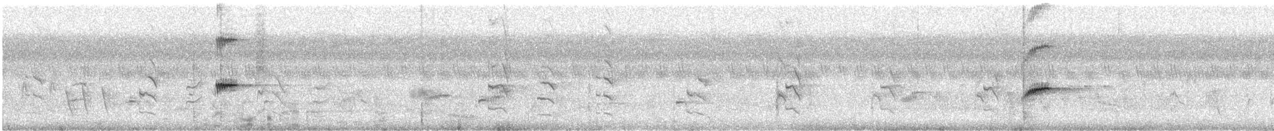 Blossom-headed Parakeet - ML453378491