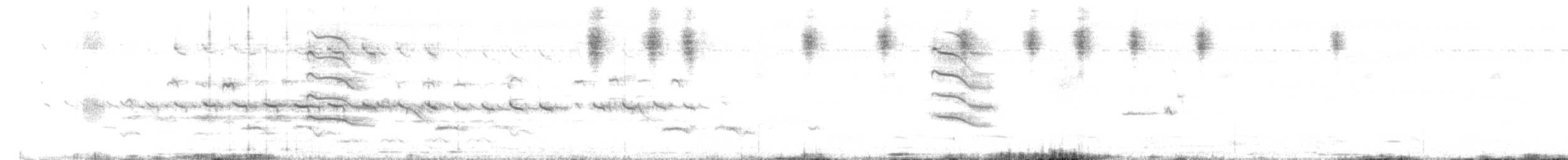 Чайка малабарська - ML453400411