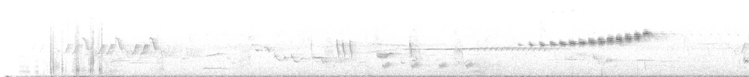 buskparula - ML453434461