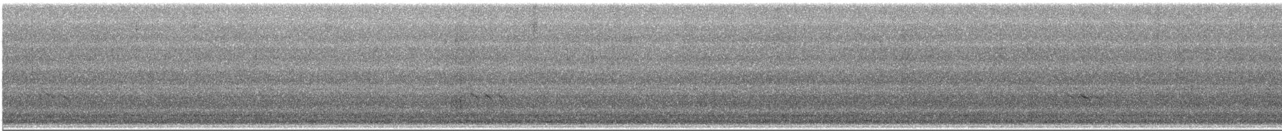 kortnebbekkasinsnipe - ML453503791