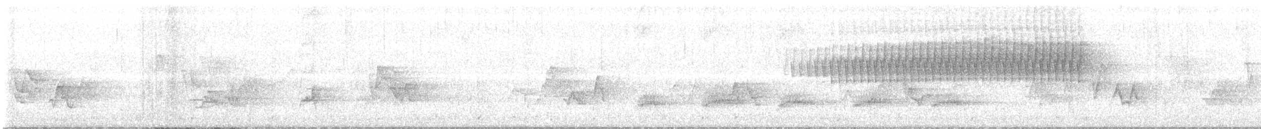 Paruline vermivore - ML453505981