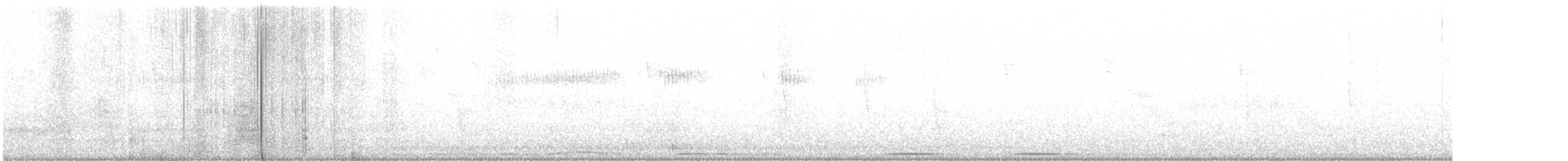 Geniş Kuyruklu Kolibri - ML453513671