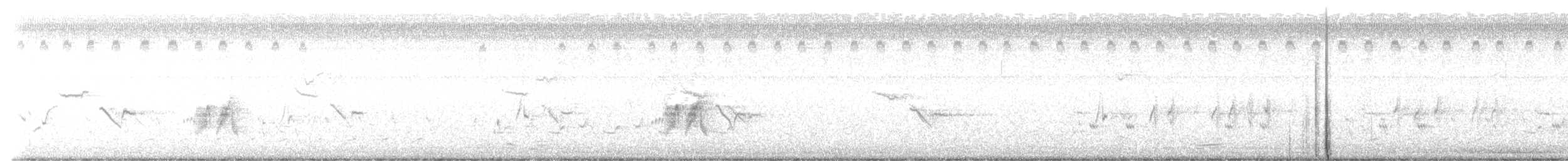 Alder Flycatcher - ML453516741