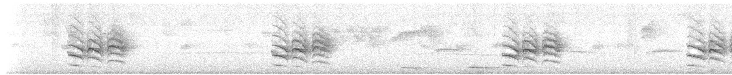 Band-tailed Antwren - ML453525151