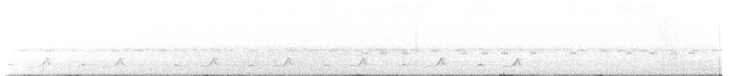 Schwarzkehl-Nachtschwalbe - ML453625911