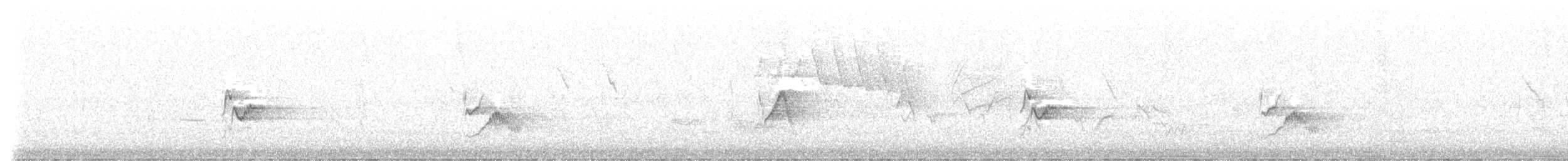 Cassin's Vireo - ML453648751