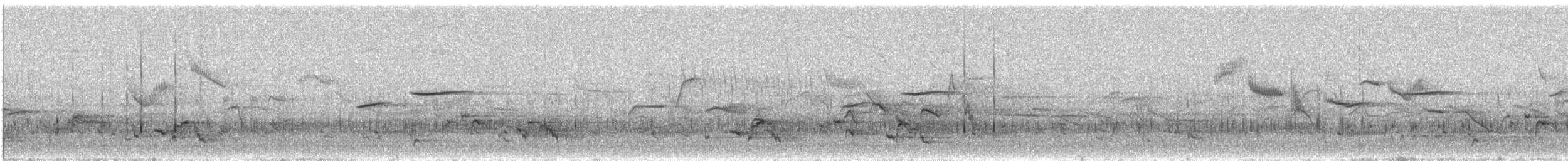 Nilgiri Pipit - ML453711581