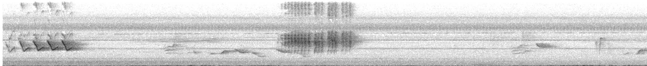 オオヒメコノハドリ - ML453718051