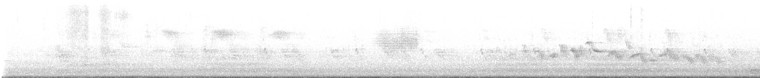 Бледная малая овсянка - ML453726971