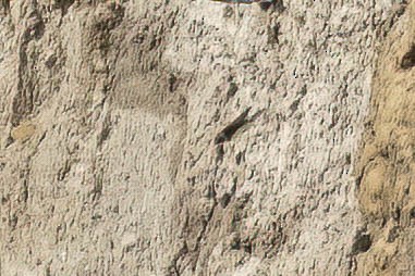 Hirondelle de rivage - ML453737321